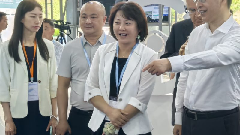 汽车内饰清洗剂品牌对比测评：揭秘清洁背后的科技与选择